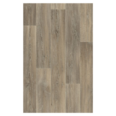 Beauflor PVC podlaha Quintex Lime Oak 160L  - dub - Rozměr na míru cm