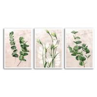 Obraz na plátně PLANTS II. set 3 kusy různé rozměry Ludesign ludesign obrazy: 3x 50x70 cm