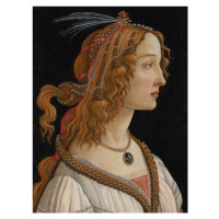 Obrazová reprodukce Portrait of Simonetta Vespucci, Sandro Botticelli, 30 × 40 cm