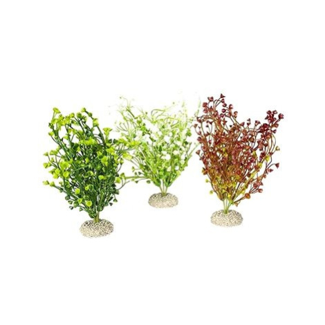 Ebi Aqua Della Bacopa M mix barev 25 cm 1 ks