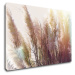 Impresi Obraz Suchá tráva - 90 x 60 cm