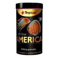 Tropical America M 100 ml 60 g