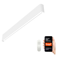 Neo  NEO 07137-W - LED SMART Stmívatelné svítidlo LINEA LED/40W/230V + DO 76 cm