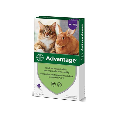 Advantix Advantage pro velké kočky a králíky 80mg 1x0,8ml