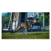 Jurassic World Evolution (Xbox One)