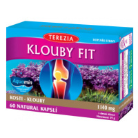 TEREZIA Klouby fit cps.60