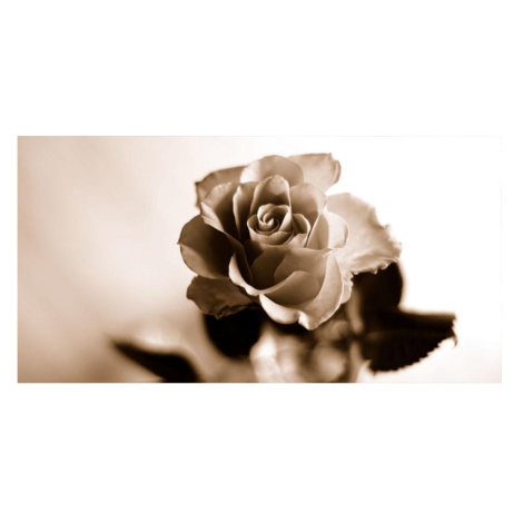 Dekor skleněný - růže 1 30/60 AQUA MERCADO