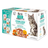 Kapsička Brit Care Cat Flavour box Sterilized filety v omáčce Multi 12x85g