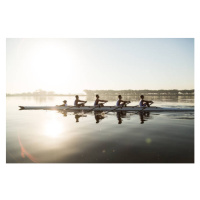 Fotografie Mixed race rowing team training on a lake at dawn, Alistair Berg, 40 × 26.7 cm