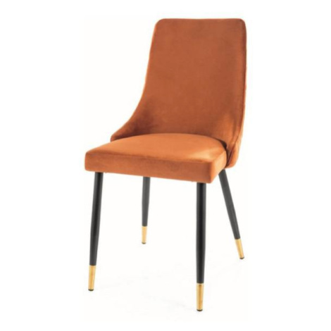 Jídelní židle PAONU 2 skořicová/černá/zlatá
