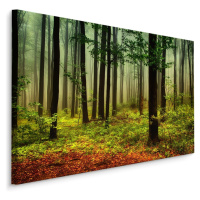Plátno 3D Lesní Krajina Varianta: 40x30