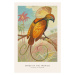 Ilustrace The Bird of Paradise (Birds of the Tropics) - George Harris, 26.7 × 40 cm