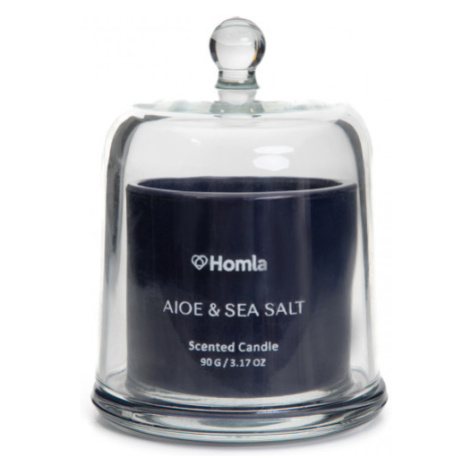 Svíčka ENVY Aloe & Sea Salt 886756