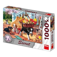 Dino Secret Collection: Štěňata 1000 dílků