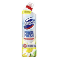 DOMESTOS Power Fresh Spring Fresh 700 ml