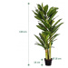 PLANTASIA 85196 Umělý strom Dracaena 120 cm, 81 listů