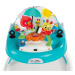 BABY EINSTEIN Chodítko Sky Explorers Walker™ 6m+ do 12 kg