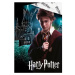 TipTrade Bavlněné povlečení 140x200 + 70x90 cm - Harry Potter Kouzelné Bradavice