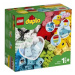 Lego Duplo 10909 Box se srdíčkem