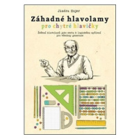 Záhadné hlavolamy pro chytré hlavičky - Jindra Hojer