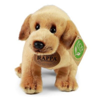 RAPPA Plyšový labrador stojící 20 cm, Eco-Friendly