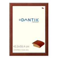 DANTIK rámeček 42 × 59,4, LEDVINKA hnědý plexi čiré