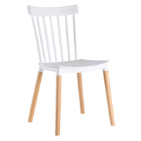 Jídelní židle ALCA —  masiv buk/plast, bílá