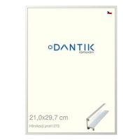 DANTIK rámeček 21 × 29,7, ALU profil 7273 Bílý matný sklo čiré