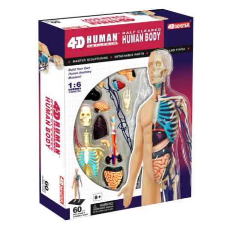 4D Master - Anatomie člověka - 1/2 těla 33 cm Sparkys