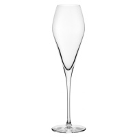 Nude designové sklenice na šampaňské Fantasy
