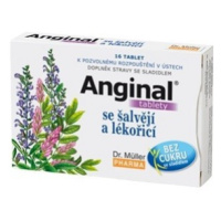 Anginal se šalvějí+lékořicí tbl.16 Dr.Müller