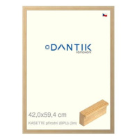 DANTIK rámeček 42 × 59,4, KASSETTE přírodní BPU plexi čiré