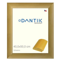 DANTIK rámeček 40 × 50, RENÉ přírodní plexi čiré