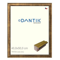 DANTIK rámeček 40 × 50, TRITON zlatý plexi čiré