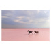 Fotografie pink salt lake, Suleyman Uzumcu, 40x26.7 cm