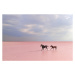 Fotografie pink salt lake, Suleyman Uzumcu, 40 × 26.7 cm