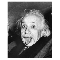 Fotografie Albert Einstein Sticking Out His Tongue, Bettmann, 30 × 40 cm