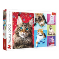 Puzzle Šťastné kočky 1000 dílků 68,3x48cm v krabici 40x27x6cm