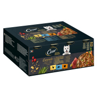 Cesar Natural Goodness, 24 x 400 g - 20 + 4 zdarma - multibalení 3 variace - Caserolle Kuřecí, k