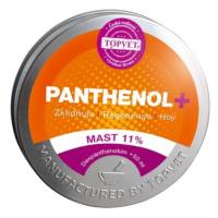 Green idea PANTHENOL+ Mast 11 % 50 ml