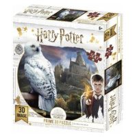 3D puzzle Harry Potter-Hedwig 500 ks