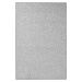 Šedý koberec 60x90 cm Wolly – BT Carpet