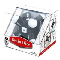 RecentToys – Brain Dice