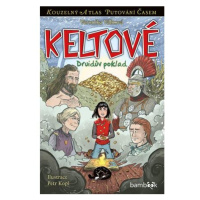 Keltové - Druidův poklad