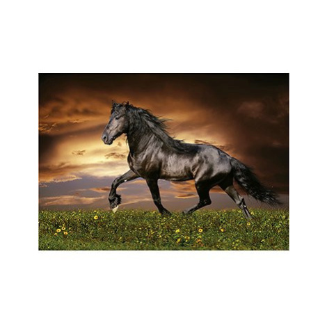 EDUCA Puzzle Klusající kůň 1000 dílků