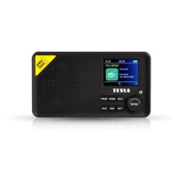 TESLA Sound DAB65 rádio s DAB+ certifikací