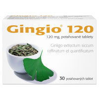 Gingio 120 mg, 30 tablet