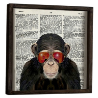 Wallity Nástěnný obraz Monkey 34x34 cm I