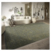 Villeroy & Boch - Hanse Home koberce Kusový koberec Villeroy & Boch 106148 Green - 160x230 cm