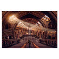 Fotografie Natural History Museum - London, Hernan Calderon Velasco, 40 × 26.7 cm